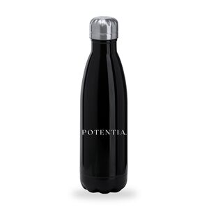 Standard Stainless Steel Bottle Thumbnail